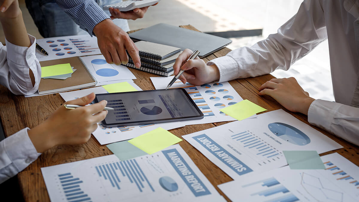 Due Diligence Reports